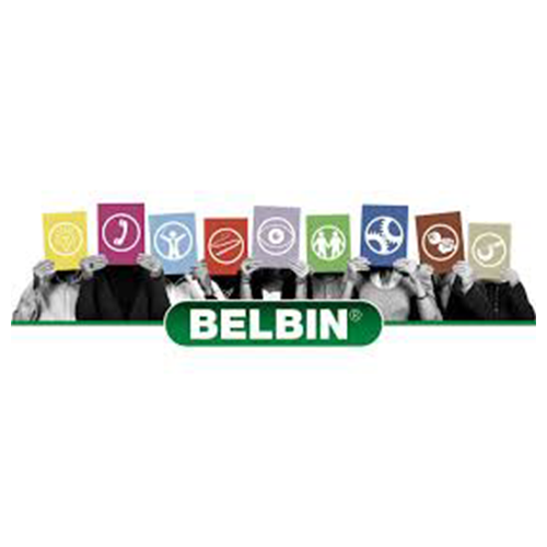 Belbin Team Roles